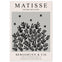 Matisse