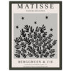 Matisse