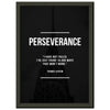 Perseverance