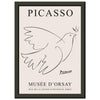 Picasso