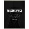 Perseverance