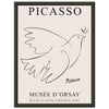 Picasso