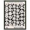 Matisse