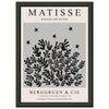 Matisse