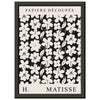 Matisse